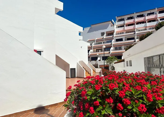 In Ocean Park Ii, Costa Adeje, Tenerife アパート